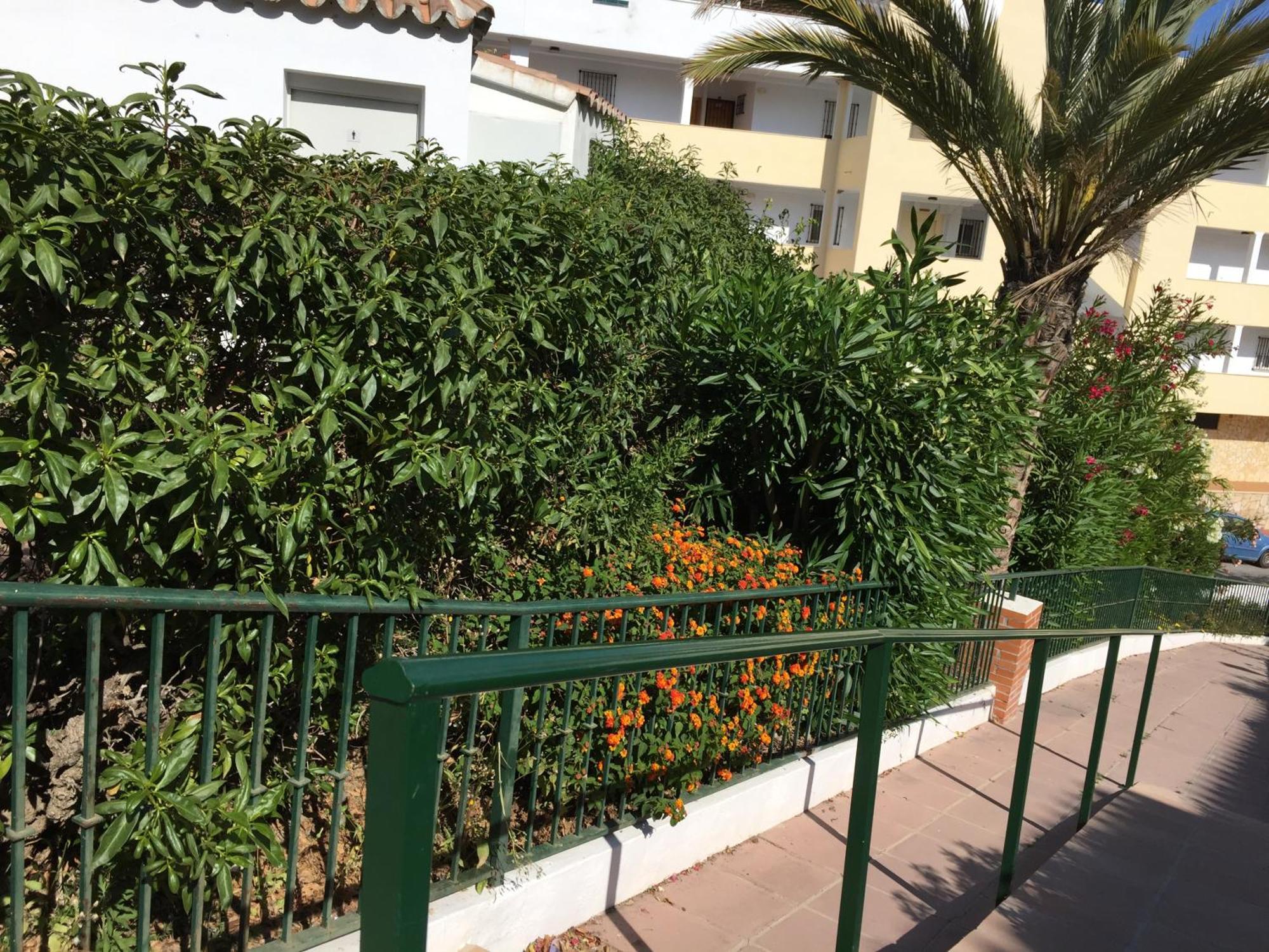 Stella Blanca 24B Appartement Fuengirola Buitenkant foto
